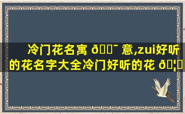 冷门花名寓 🐯 意,zui
好听的花名字大全冷门好听的花 🦅 名